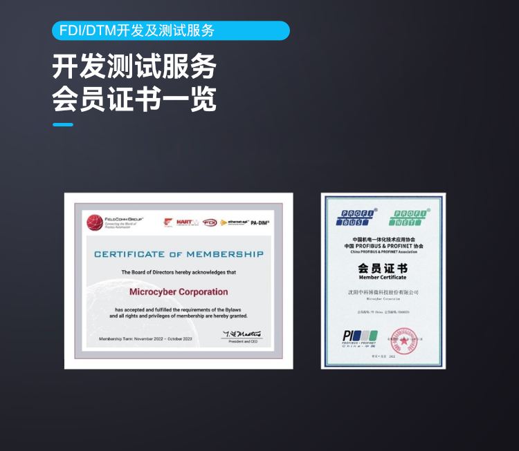 FDI/DTM 開(kāi)發(fā)及測(cè)試服務(wù).png